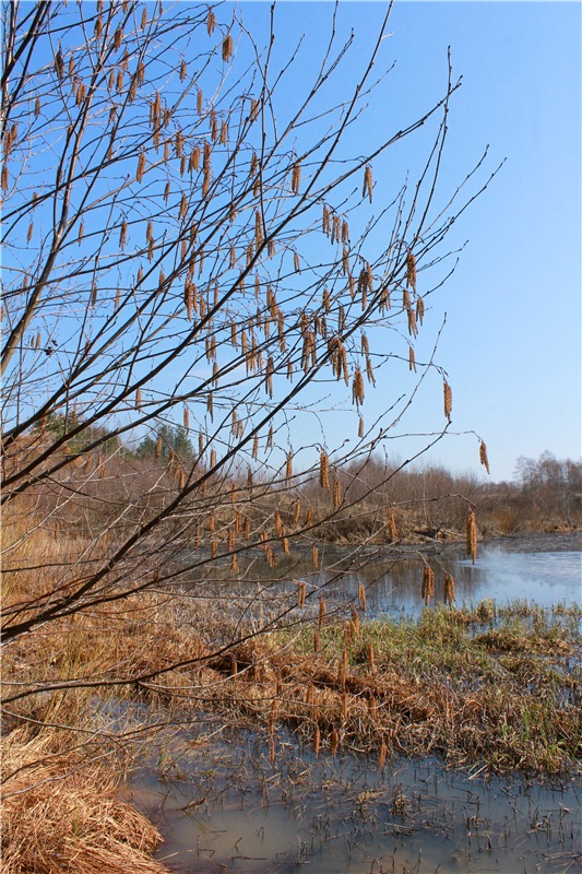 Имани и Водопад — Куклы Kaye Wiggs (Кайе Виггс): авторские BJD (БЖД)