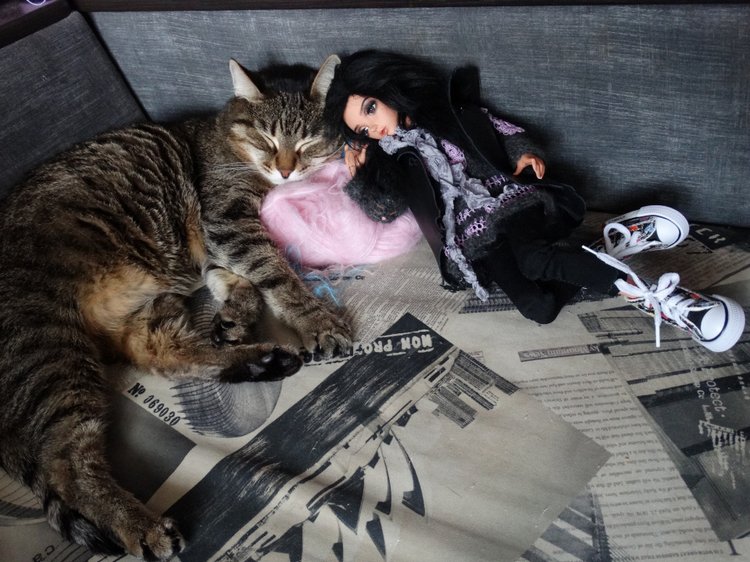 Кото-фото — В мире животных: смешные фото питомцев и зверей