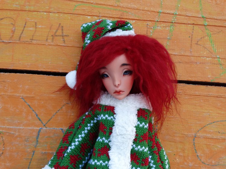 Зимне-новогодние фото Коти (фото 10)