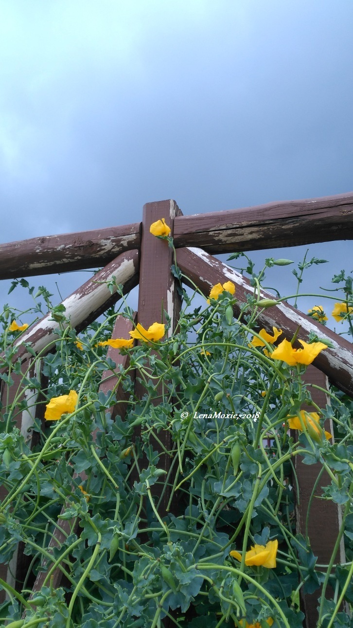 Kidz' тур. Нико на Крите. Аниссарас