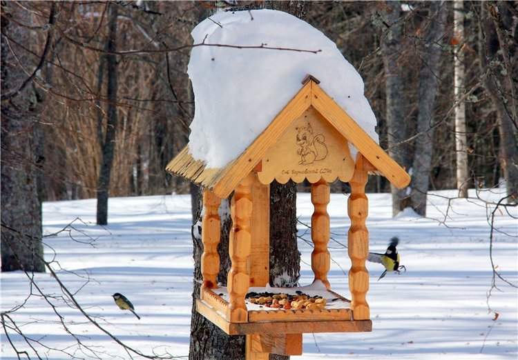 Снежный Март — Туризм и путешествия: фотоотчеты из поездок
