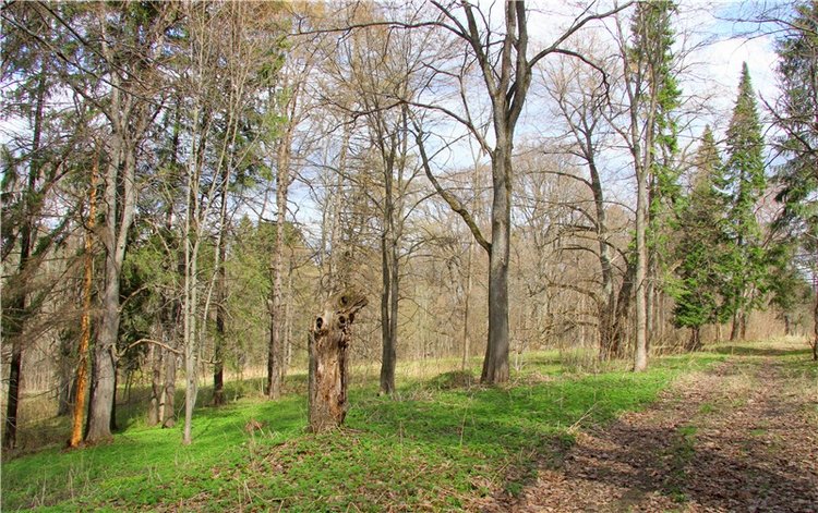Усадьба Чукавино, Тверская область