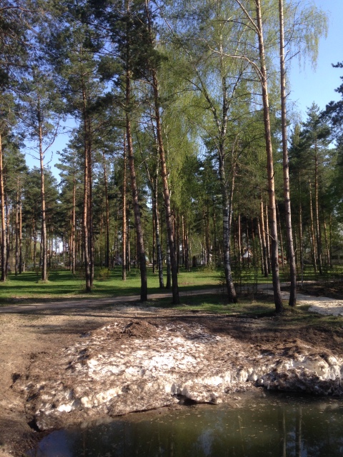 Как мы побывали в Некотором царстве ... с Mui-chan