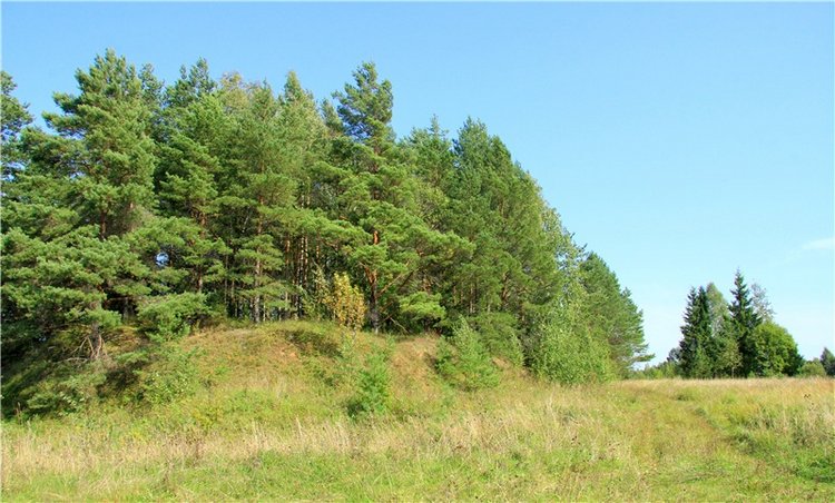 Инопланетянка Нийя. Custom Blythe Doll UFO Go Go Takara