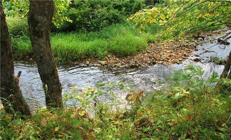 Старицкая Швейцария. Путешествие с Сашей, продолжение. Уникальная кукла от Сильвии Наттерер