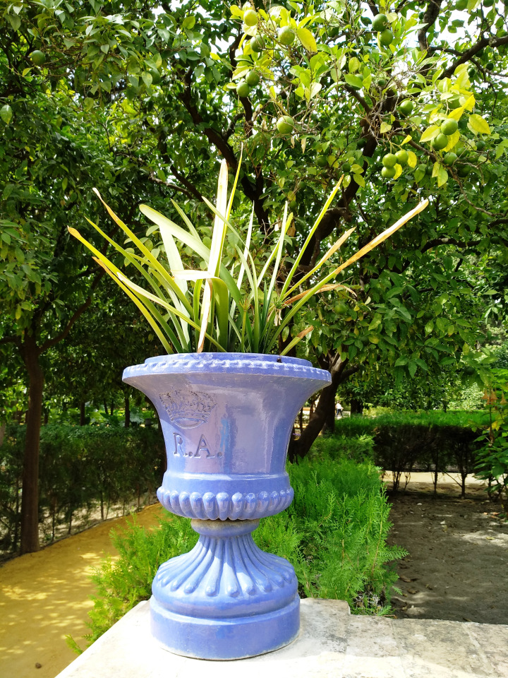 Тайна моего имени. Часть восьмая. Испания, Севилья. Колумб повсюду