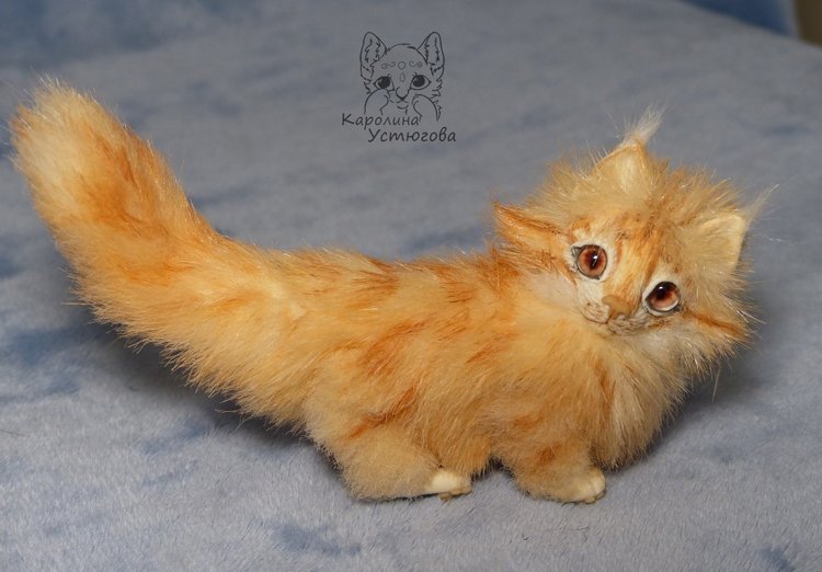 Мейн-ку́н, миниатюра. Рыженький (фото 3)