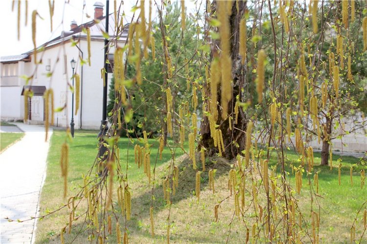 Пасхальные выходные с Джиджи. BJD Gigi от Meadow Dolls