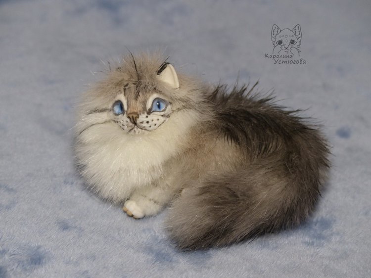 Котята Невские маскарадные, окрас Тэбби пойнт