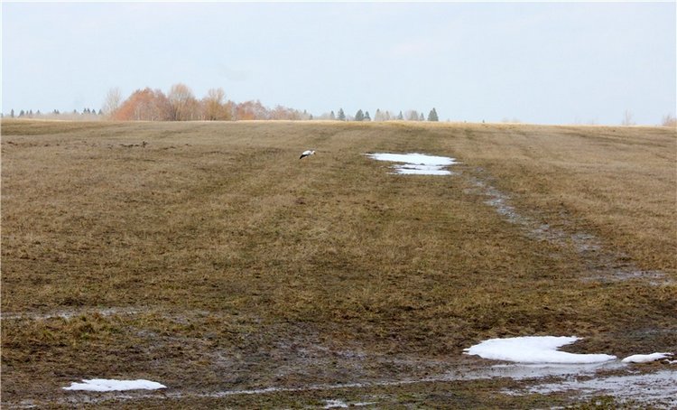 Джиджи в Берново. BJD Gigi от Meadow Dolls (фото 2)