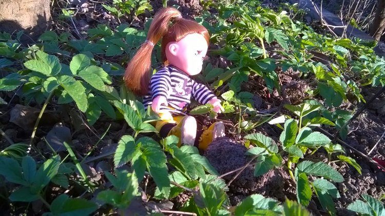 Галинка с Полинкой во саду ли в огороде