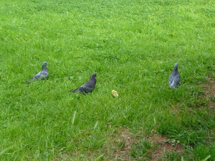 Сочи-Адлер: Южное Взморье - виртуальное путешествие по территории санатория