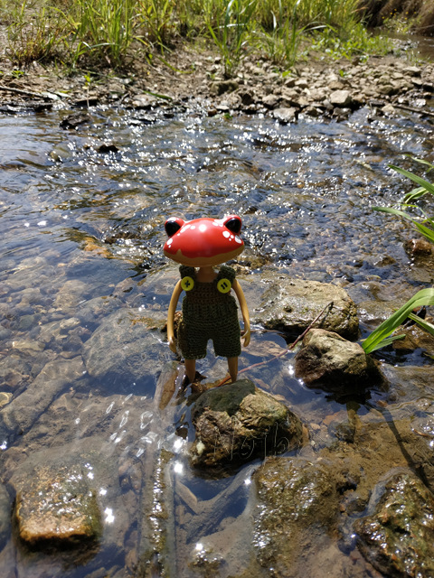 Wonderfrog. Красота в простоте