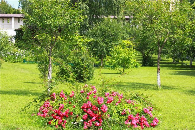 Любимая Старица. Свято-Успенский мужской монастырь