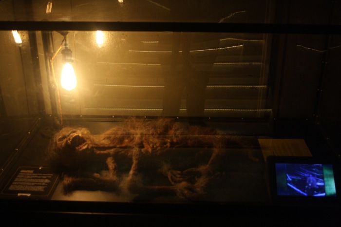 Петербург. Музей НЕправды (18+). Часть 1