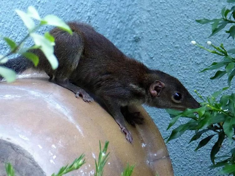 Любителям природы - профессиональные фотографии (выпуск 4)