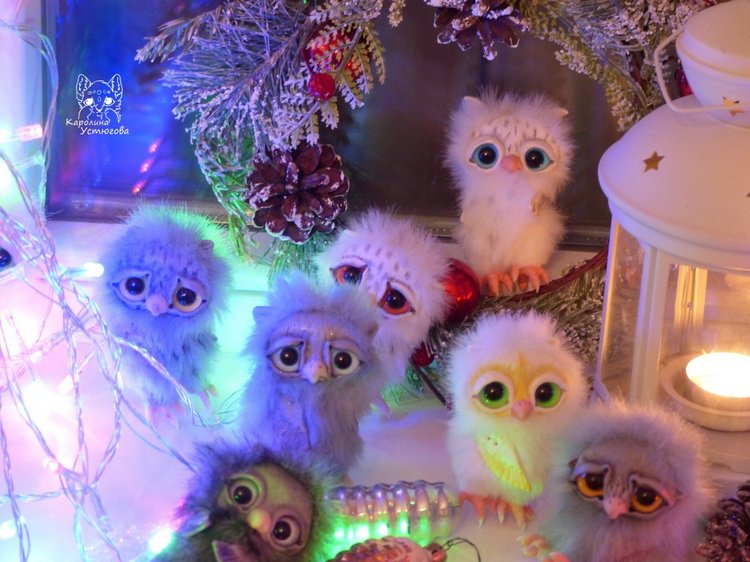 Совята в ожидании Новогодних праздников