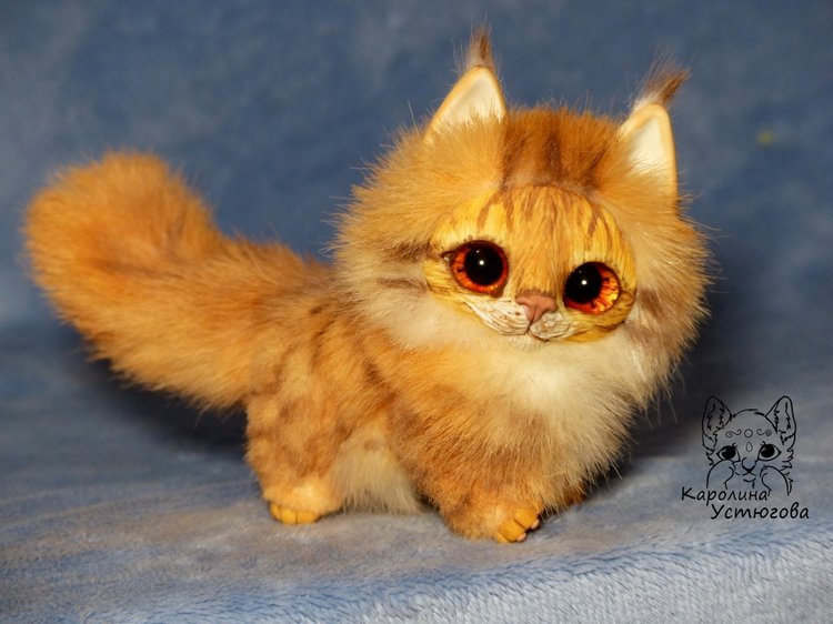 Карманный котеночек породы: Мейн-Кун (фото 3)