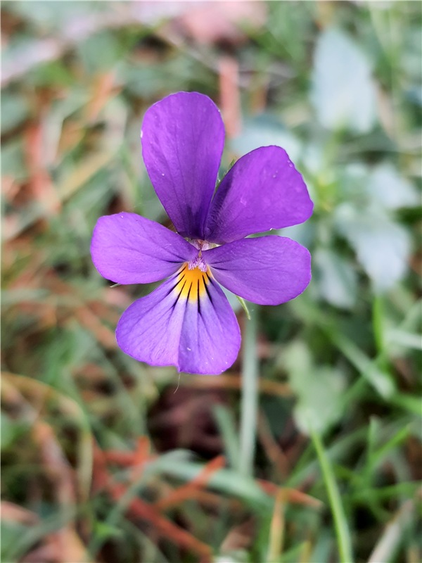 Путешествие по Святым местам Тверской области