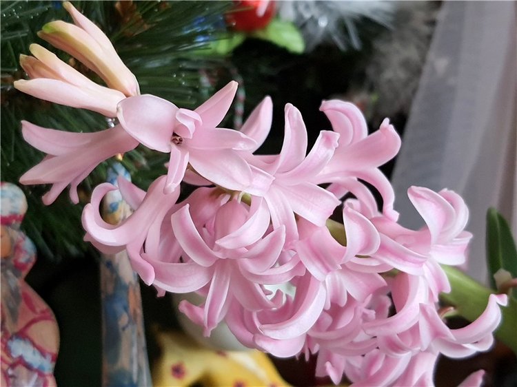 Праздник Весны | Бэйбики Праздник Весны — Куклы Meadow dolls (Медовушки): BJD (БЖД)