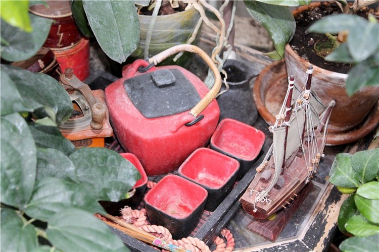 Тверской Ботанический Сад, продолжение | Бэйбики Тверской Ботанический Сад, продолжение