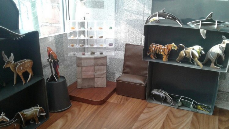 Румбокс для кукол: кабинет естественных наук (фото 4)