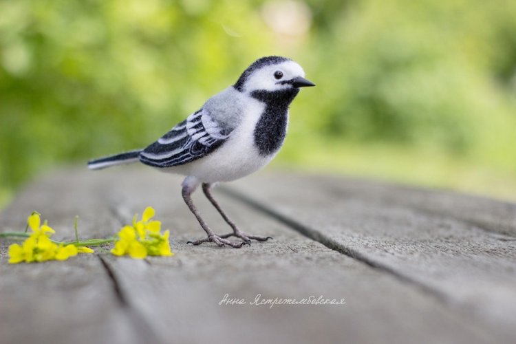 Белая трясогузка — Валяные игрушки из шерсти: сухое валяние (фото 6)