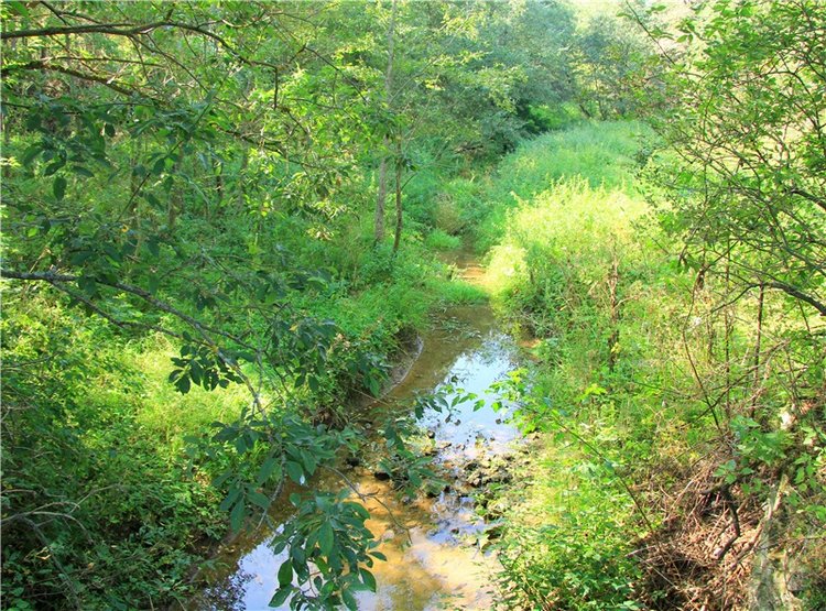 Инопланетянка Нийя. Custom Blythe Doll UFO Go Go Takara