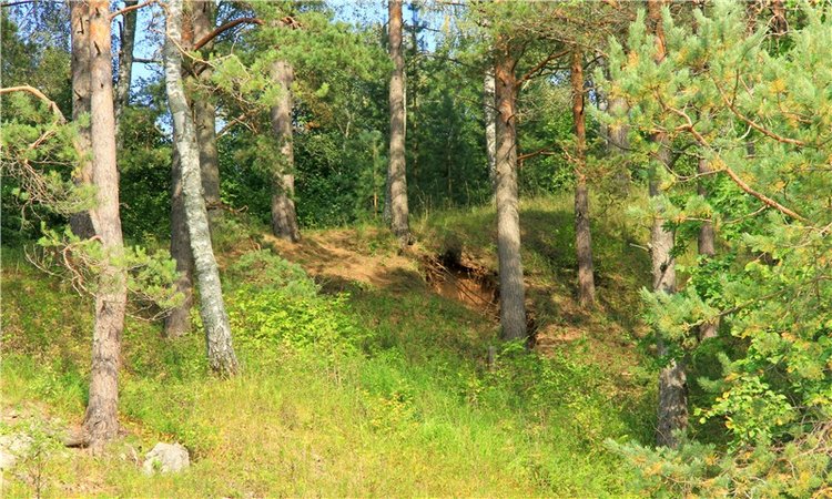 Старицкая Швейцария. Старицкие пещеры, д. Толпино