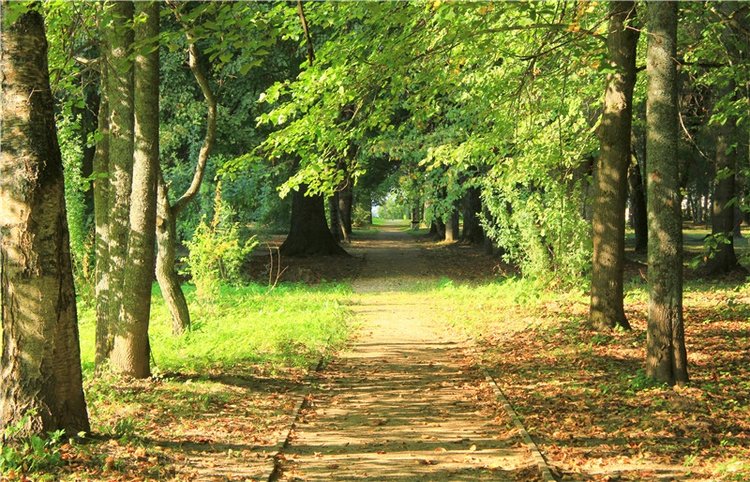 Августовская прогулка в Берново. Zwergnase Mischa