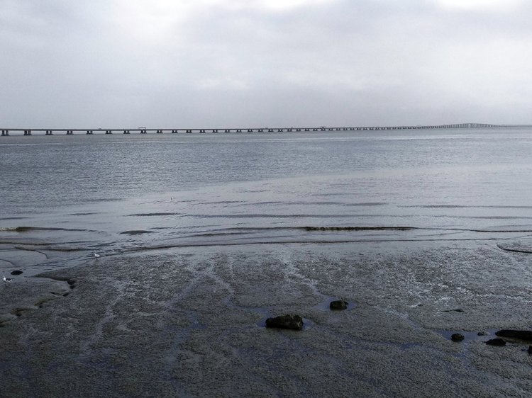 Тайна моего имени. Часть десятая. Португалия, Лиссабон. От Лесли просто нет житья