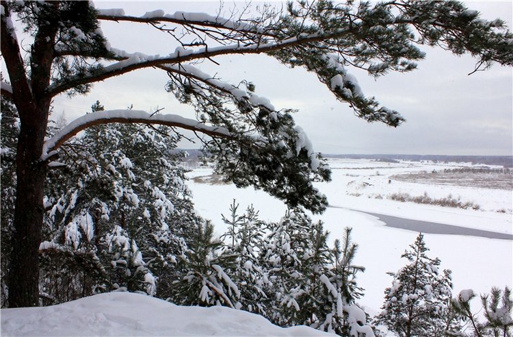 Рождественские гуляния, часть вторая. Zwergnase Mischa (фото 10)