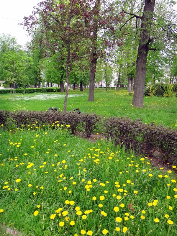 Милый мой город. Прогулка по Твери, заключительная часть