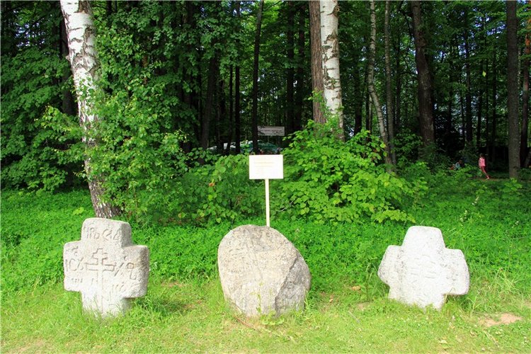"Троицкие гуляния" в Василёво, 2018 год. Архитектурно-этнографический музей под открытым небом Василёво (фото 10)