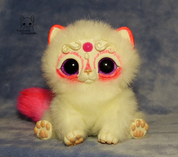 Королевские волшебные коты, породы: Мирис. В кадре и за кадром. Процесс