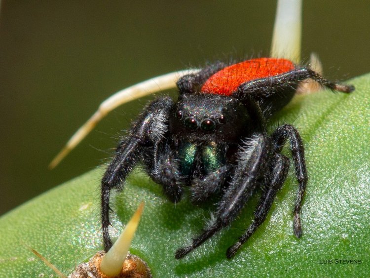 Любителям природы - профессиональные фотографии (выпуск 4)