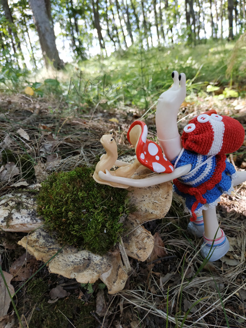 Wonderfrog. Красота в простоте. Часть 2 (фото 7)