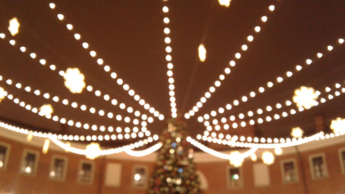 Праздник к нам приходит! В "Новую Голландию" с Мокко (фото 7)