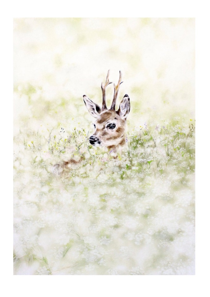 BrigitteMayArt - Иллюстрированная флора и фауна by Brigitte May (фото 5)