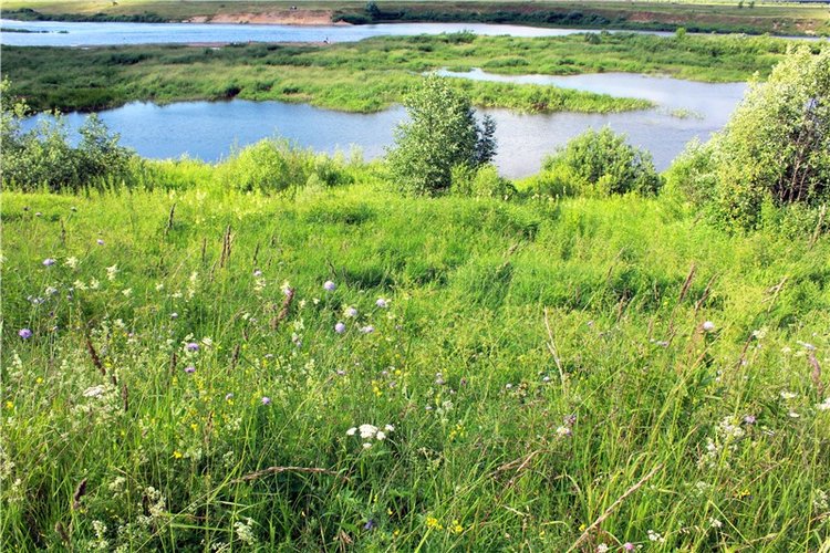 Путешествие Эли на красивый берег реки Волги