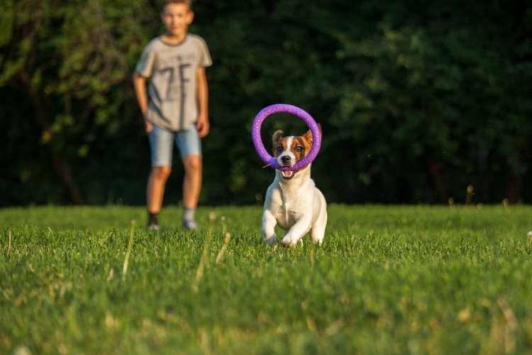 В гостях у STEPHA dolls! Biggers, Миниамигес, Вестида де Азул