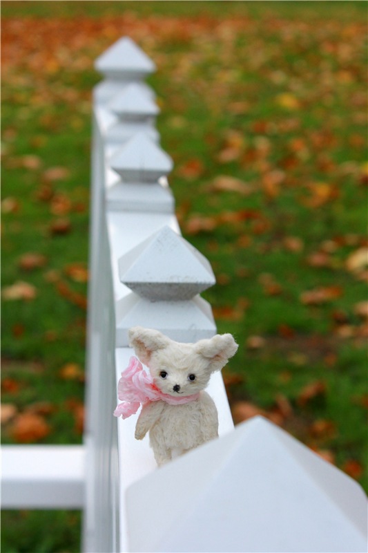 Золотая Осень в Берново с Имани. Mini Imani от Kaye Wiggs