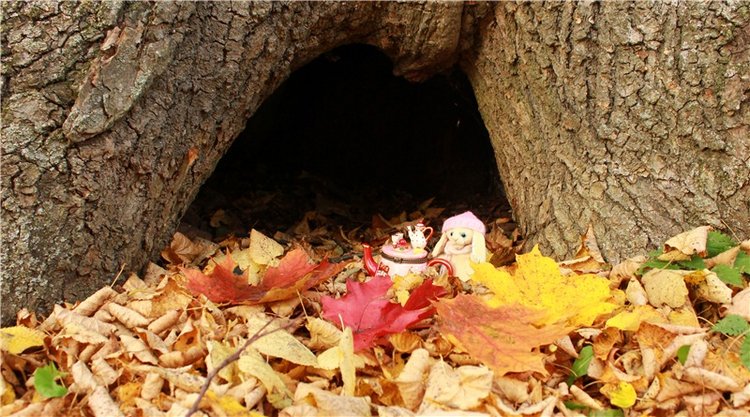 Золотая Осень в Берново с Имани. Mini Imani от Kaye Wiggs