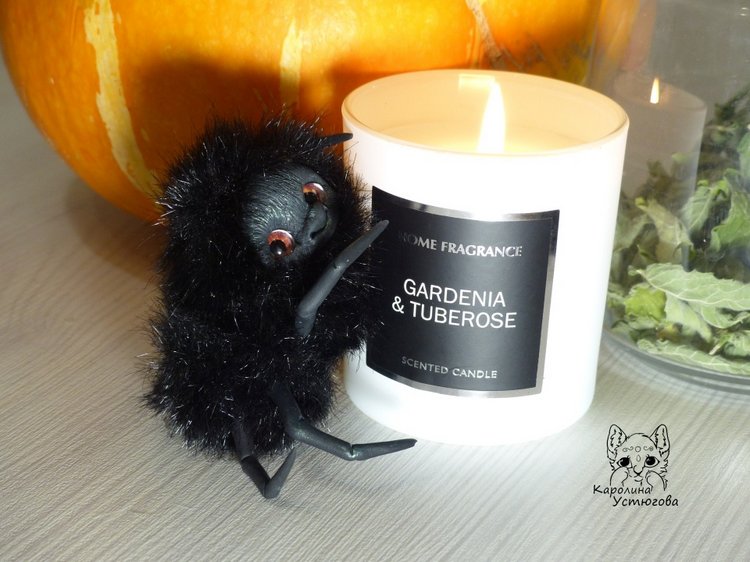 Halloween и маленькие паучки