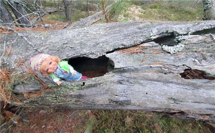 Сказка Оршинского Леса | Бэйбики Сказка Оршинского Леса — Куклы Meadow dolls (Медовушки): BJD (БЖД)