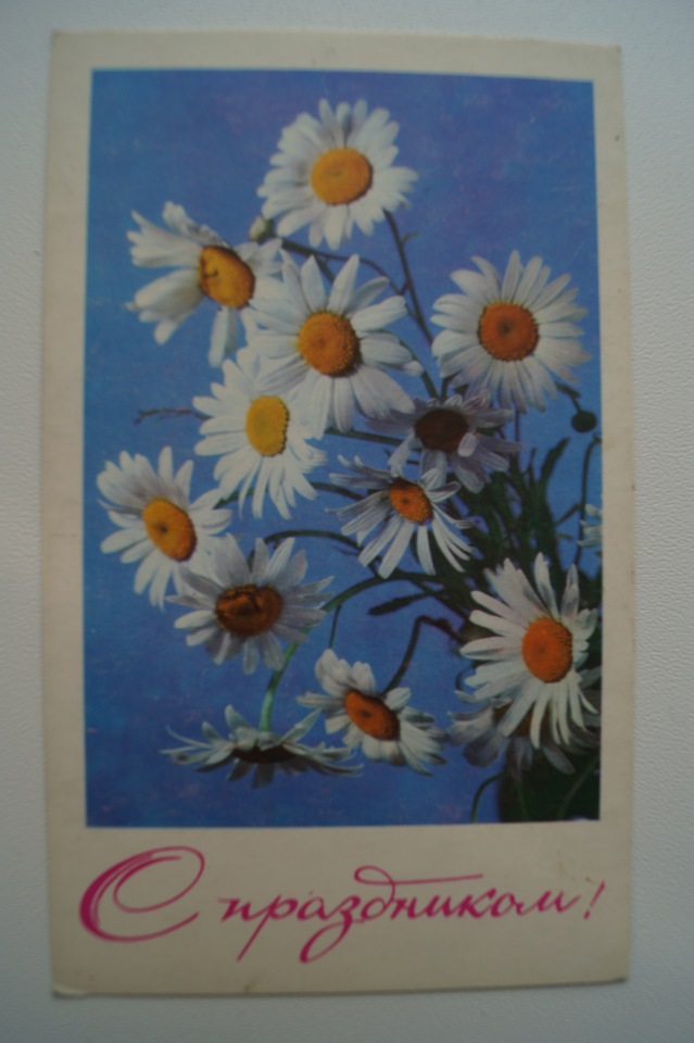 Советские открытки на каждый праздник. Годовой цикл. 23 февраля (фото 4)
