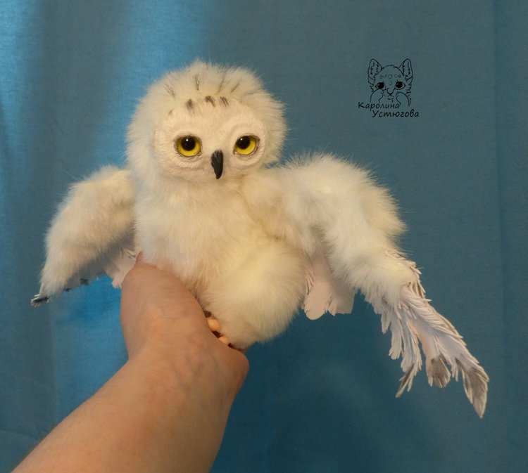 Полярные совы. Стремящиеся в полет