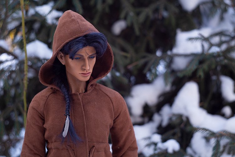 Прогулка с лисой по снегу