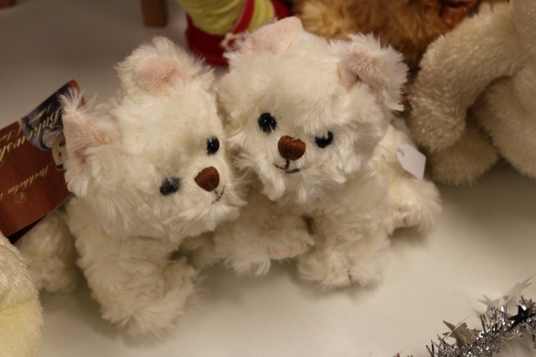 Наша зимняя встреча в магазине/клубе коллекционных кукол в Голландии