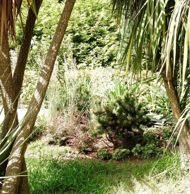 Краснодарский Край, Сочи-Адлер, Санаторий «Южное Взморье»